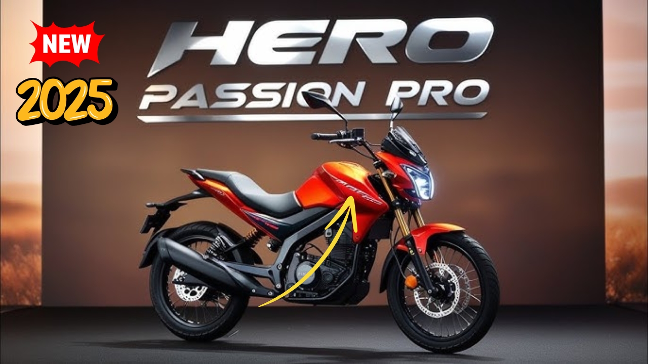 Hero Passion Pro